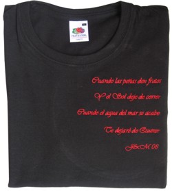 Ejemplo de camiseta bordada