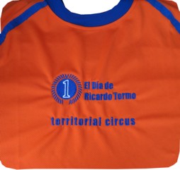 Ejemplo de camiseta bordada